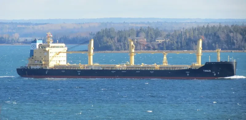TANJA Bulk Carrier IMO 9717527 photo 2