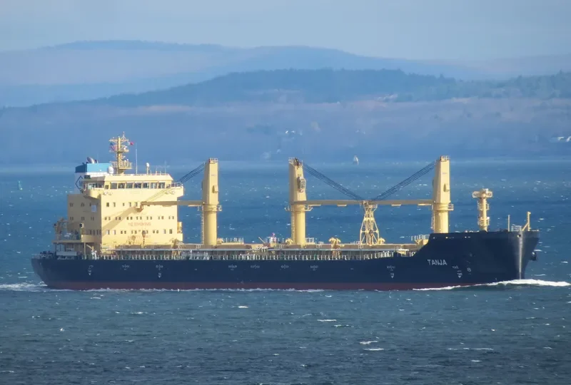TANJA Bulk Carrier IMO 9717527 photo 3