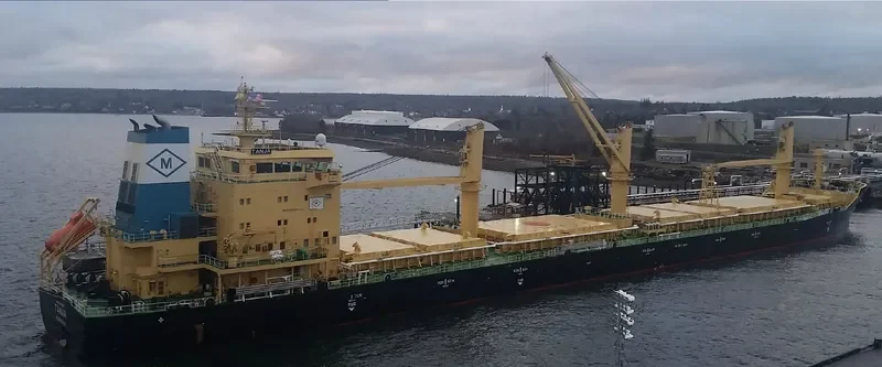 TANJA Bulk Carrier IMO 9717527 photo 5
