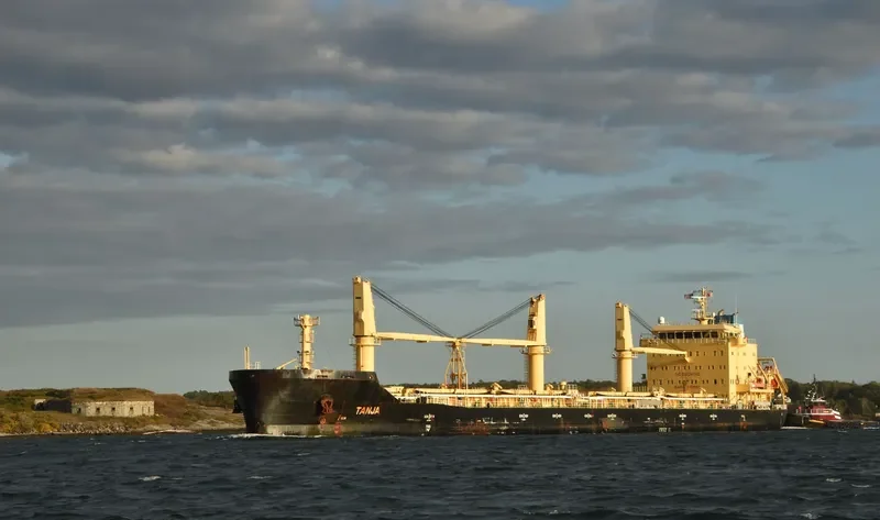TANJA Bulk Carrier IMO 9717527 photo 6