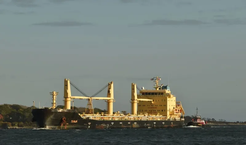 TANJA Bulk Carrier IMO 9717527 photo 7