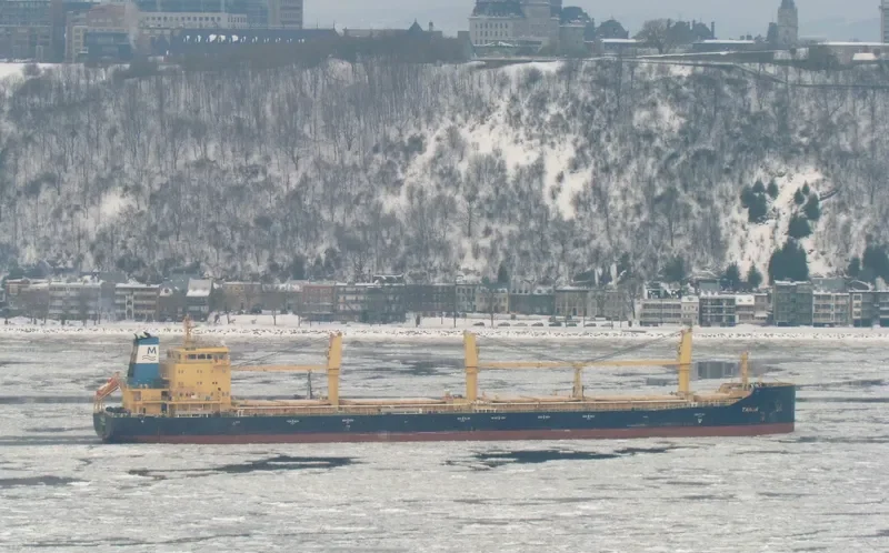 TANJA Bulk Carrier IMO 9717527 photo 8