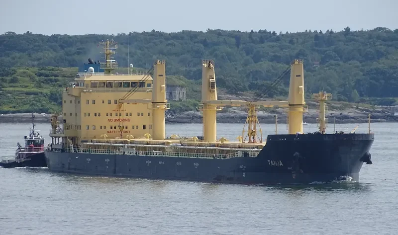 TANJA Bulk Carrier IMO 9717527 photo 9
