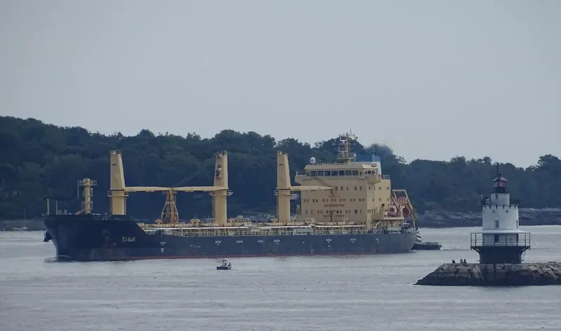 TANJA Bulk Carrier IMO 9717527 photo 10