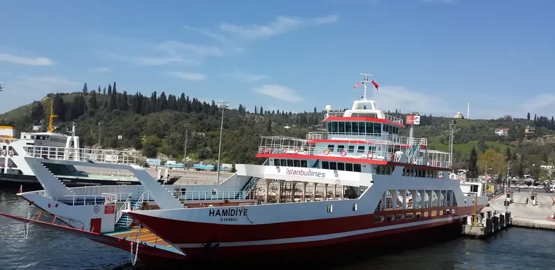 HAMIDIYE Ro-Ro IMO 9717577 photo 7