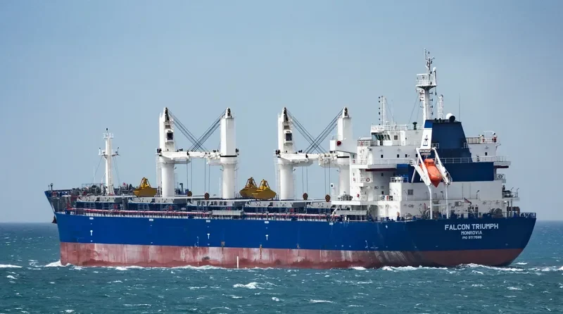 FALCON TRIUMPH Bulk Carrier IMO 9717589 photo 3