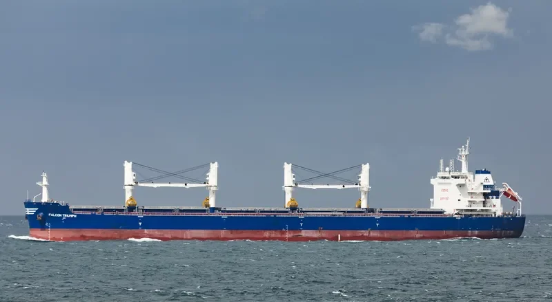 FALCON TRIUMPH Bulk Carrier IMO 9717589 photo 4