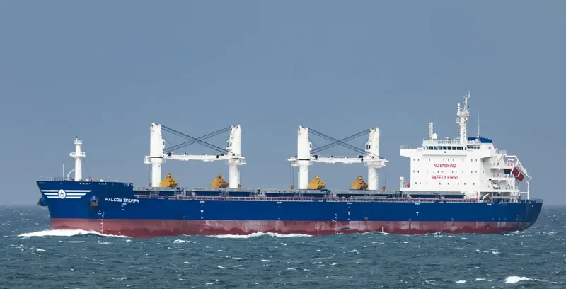 FALCON TRIUMPH Bulk Carrier IMO 9717589 photo 5