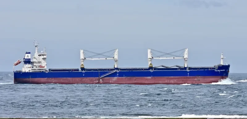 FALCON TRIUMPH Bulk Carrier IMO 9717589 photo 7