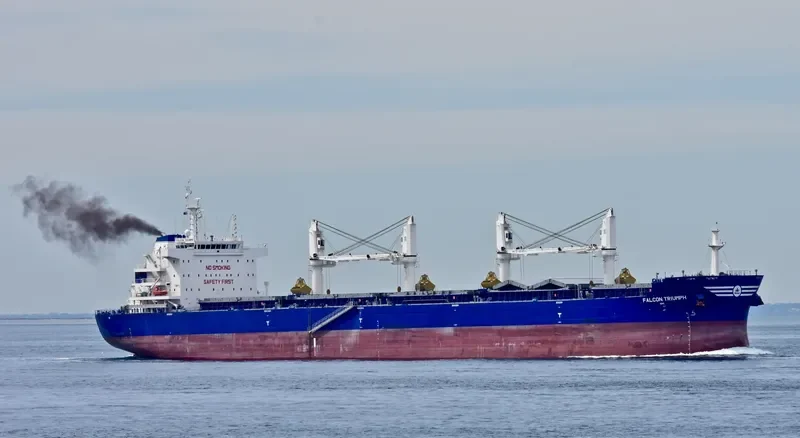 FALCON TRIUMPH Bulk Carrier IMO 9717589 photo 8