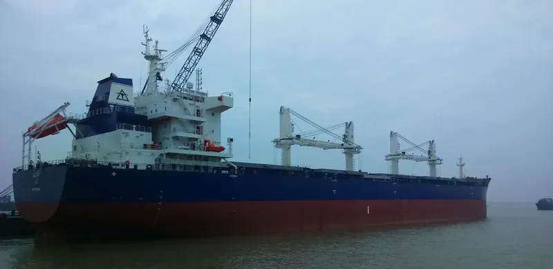 FALCON TRIUMPH Bulk Carrier IMO 9717589 photo 9