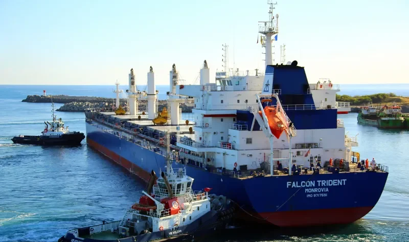 FALCON TRIDENT Bulk Carrier IMO 9717591 photo 5