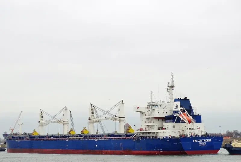 FALCON TRIDENT Bulk Carrier IMO 9717591 photo 8
