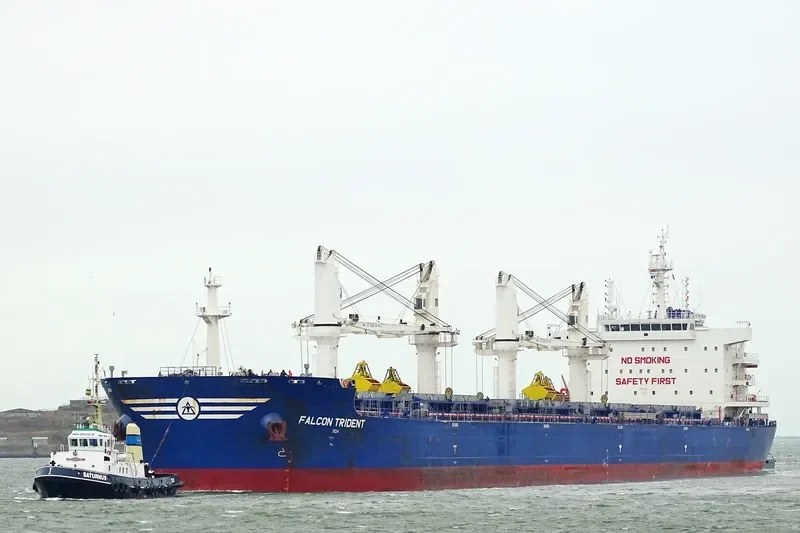 FALCON TRIDENT Bulk Carrier IMO 9717591 photo 9