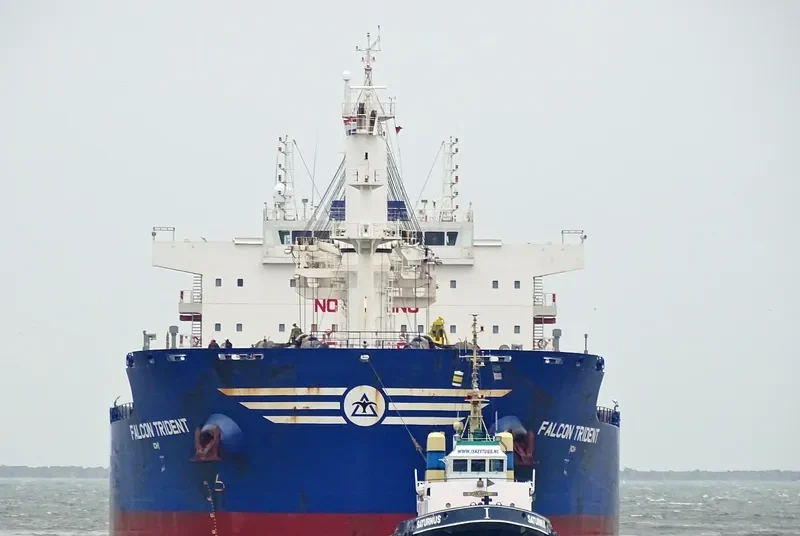 FALCON TRIDENT Bulk Carrier IMO 9717591 photo 10