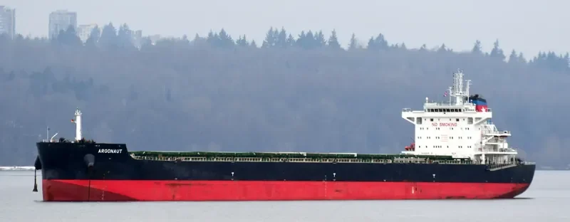 ARGONAUT Bulk Carrier IMO 9717694