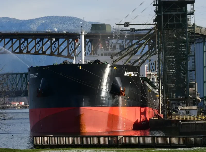 ARGONAUT Bulk Carrier IMO 9717694 photo 5
