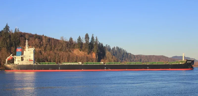ARGONAUT Bulk Carrier IMO 9717694 photo 10
