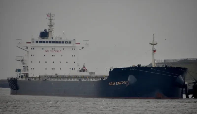 SALAMINIAN Bulk Carrier IMO 9717709