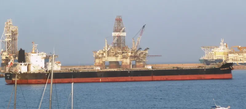 SALAMINIAN Bulk Carrier IMO 9717709 photo 2