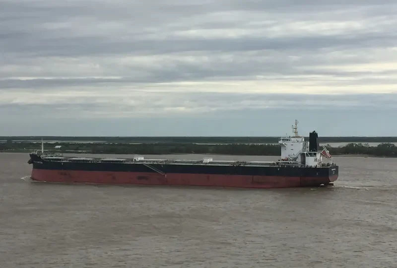 SALAMINIAN Bulk Carrier IMO 9717709 photo 3