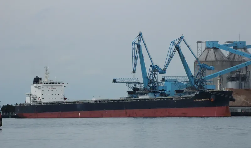 SALAMINIAN Bulk Carrier IMO 9717709 photo 4