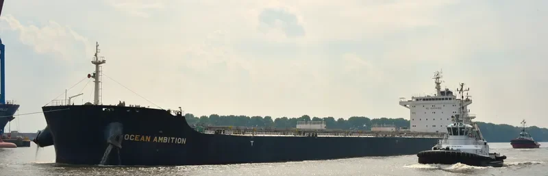 SALAMINIAN Bulk Carrier IMO 9717709 photo 7