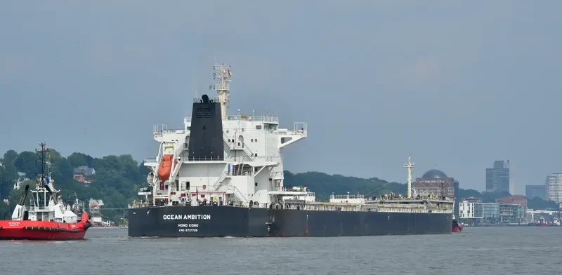 SALAMINIAN Bulk Carrier IMO 9717709 photo 8