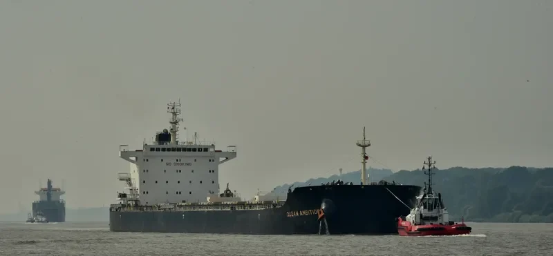 SALAMINIAN Bulk Carrier IMO 9717709 photo 9