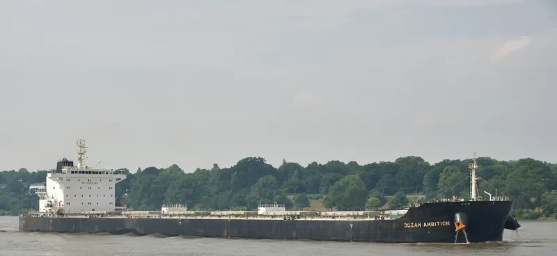 SALAMINIAN Bulk Carrier IMO 9717709 photo 10