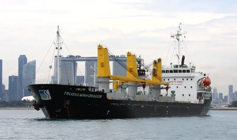 TRUONG MINH DRAGON General Cargo IMO 9717735