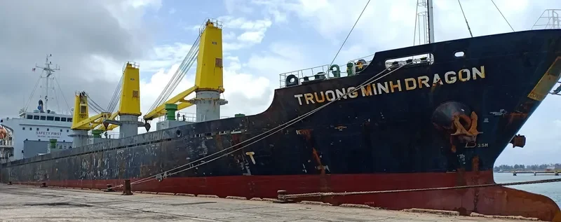 TRUONG MINH DRAGON General Cargo IMO 9717735 photo 2