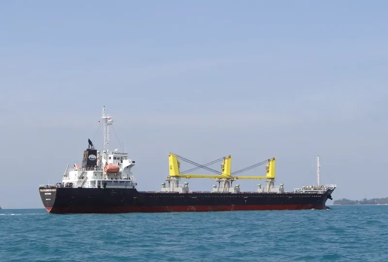 TRUONG MINH DRAGON General Cargo IMO 9717735 photo 3