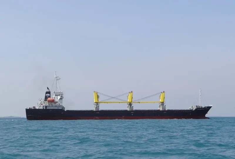 TRUONG MINH DRAGON General Cargo IMO 9717735 photo 4