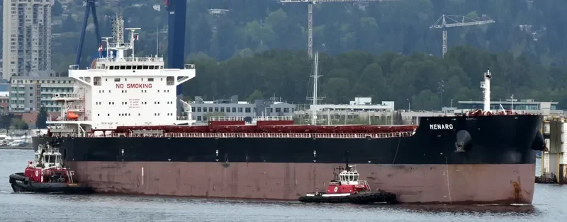 MENARO Bulk Carrier IMO 9718002