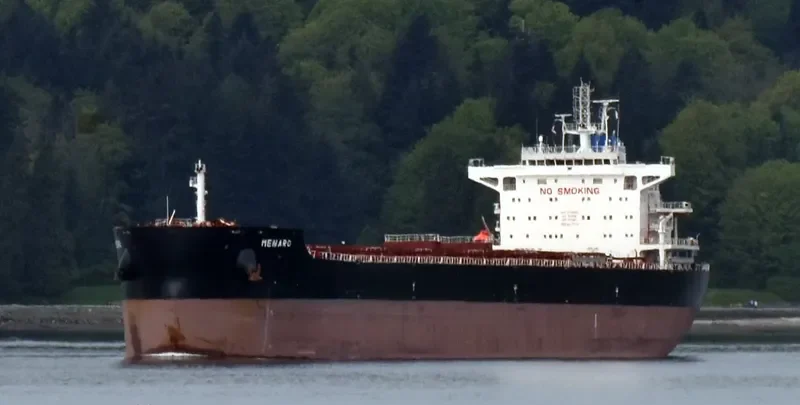 MENARO Bulk Carrier IMO 9718002 photo 2