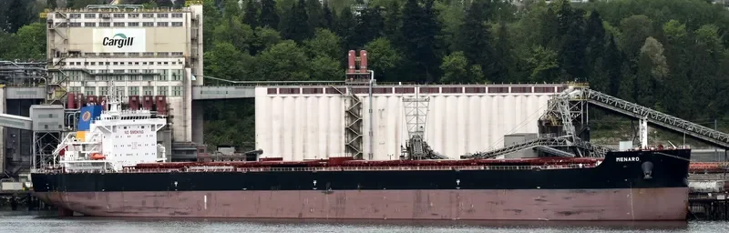 MENARO Bulk Carrier IMO 9718002 photo 3