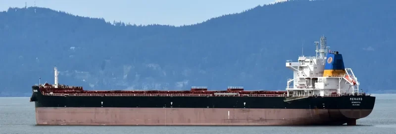 MENARO Bulk Carrier IMO 9718002 photo 4