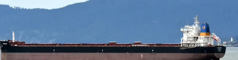 MENARO Bulk Carrier IMO 9718002 photo 5