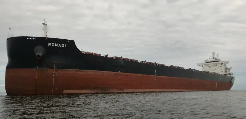 RONADI Bulk Carrier IMO 9718014