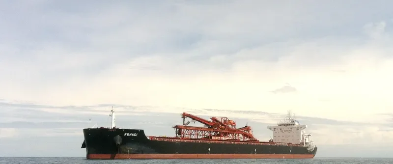 RONADI Bulk Carrier IMO 9718014 photo 2