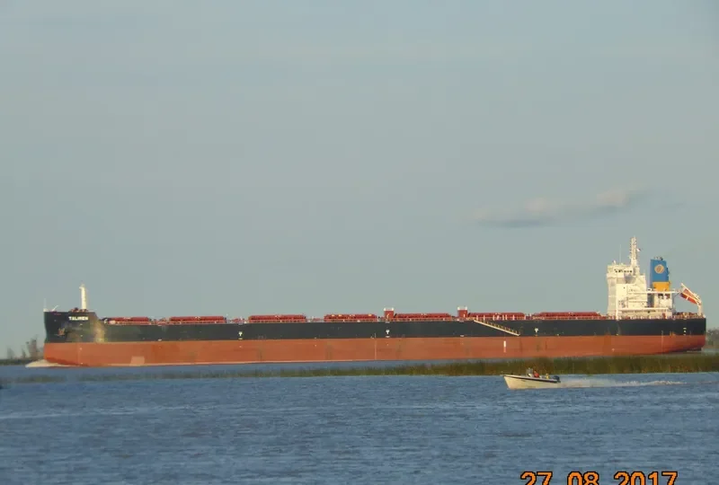 TALIMEN Bulk Carrier IMO 9718026
