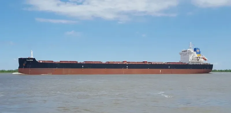 TALIMEN Bulk Carrier IMO 9718026 photo 2