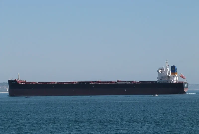 TALIMEN Bulk Carrier IMO 9718026 photo 4