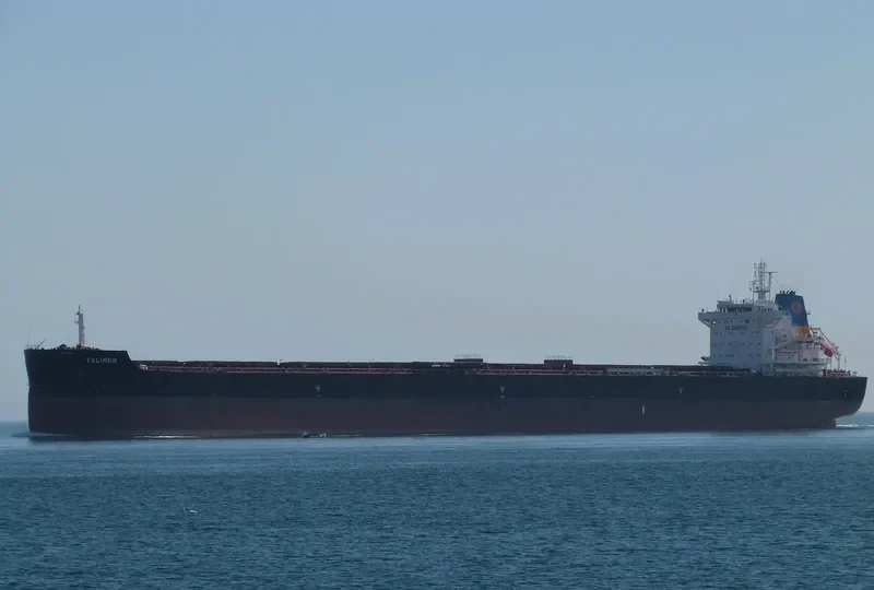 TALIMEN Bulk Carrier IMO 9718026 photo 5