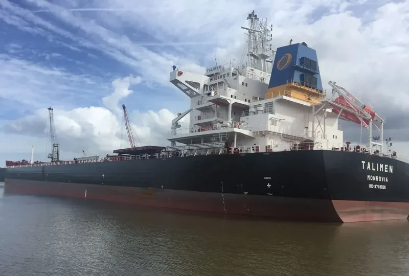 TALIMEN Bulk Carrier IMO 9718026 photo 6