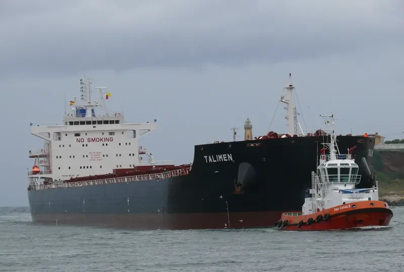 TALIMEN Bulk Carrier IMO 9718026 photo 8