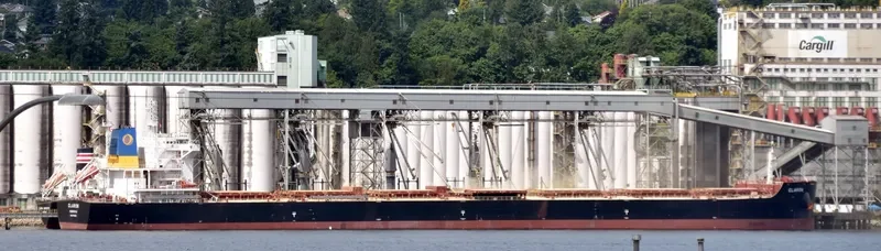 CLARON Bulk Carrier IMO 9718038