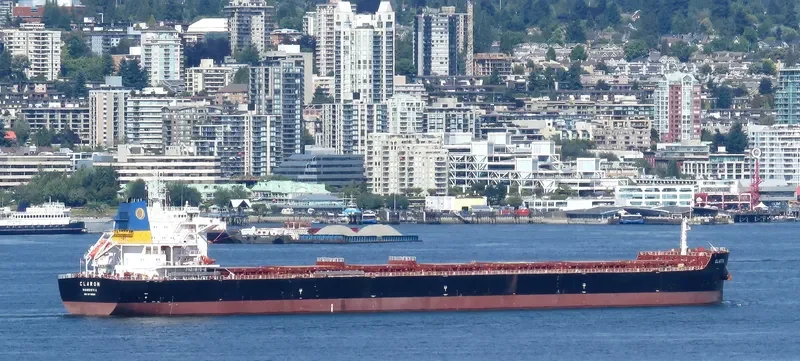 CLARON Bulk Carrier IMO 9718038 photo 2
