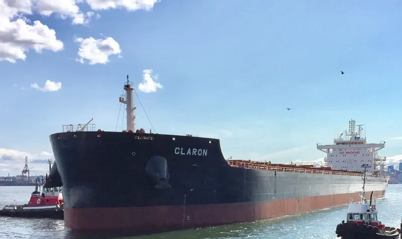 CLARON Bulk Carrier IMO 9718038 photo 3